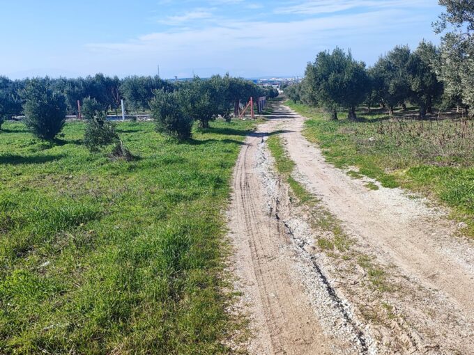 PALMİYE EMLAKTAN Kayalıoğlunda 365m2 Yola Sıfır Hobi Bahçesi