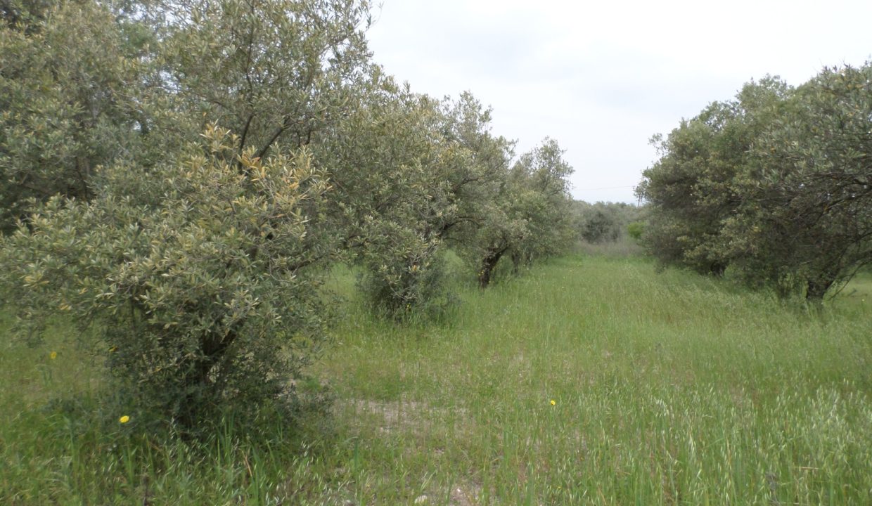 11ff253b-0be7-4b41-8124-453a08919ddc