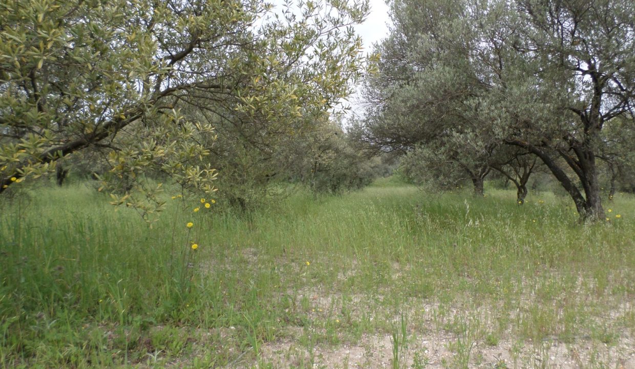 1e2a4560-d456-4221-a6e2-d1f748080a6f