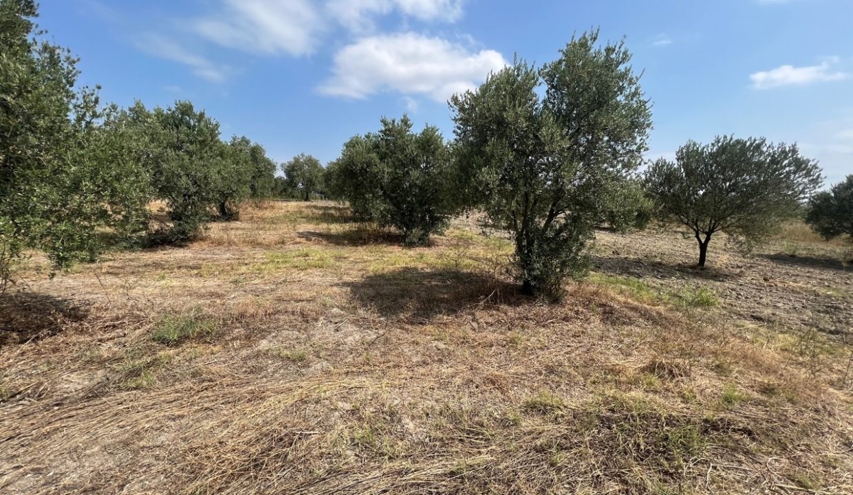 2f26b24f-fb0f-4e66-af59-c5c65c637969