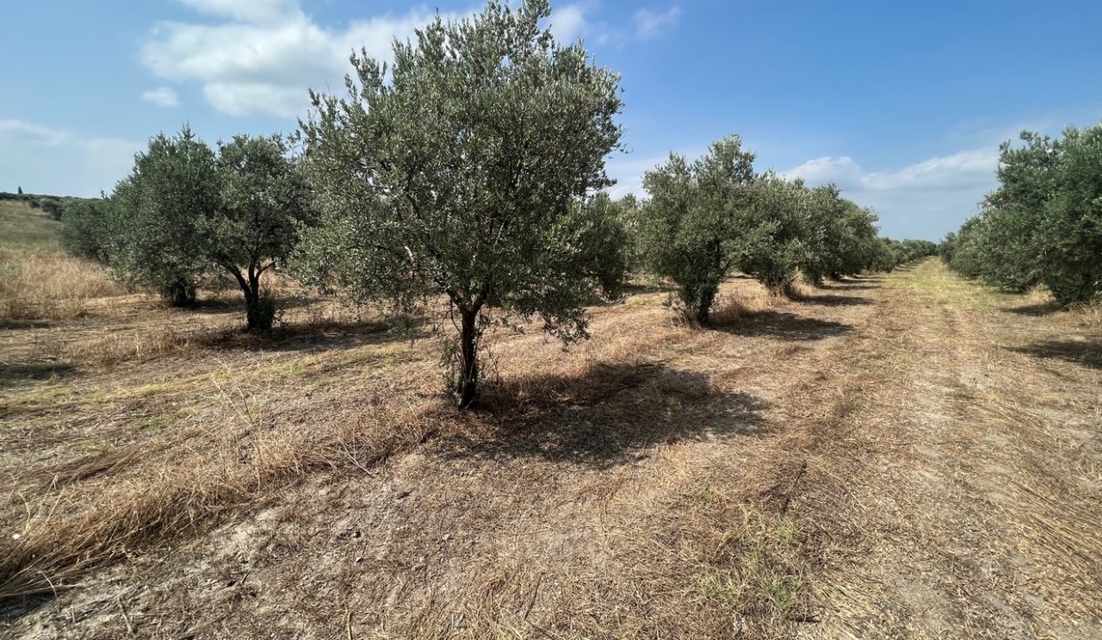 38474d65-500c-47c5-86e5-95be031130e2