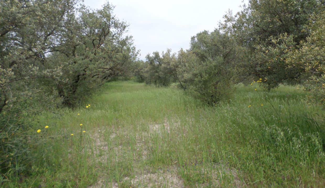 474b1436-39f3-4315-9092-da90812ad1ac