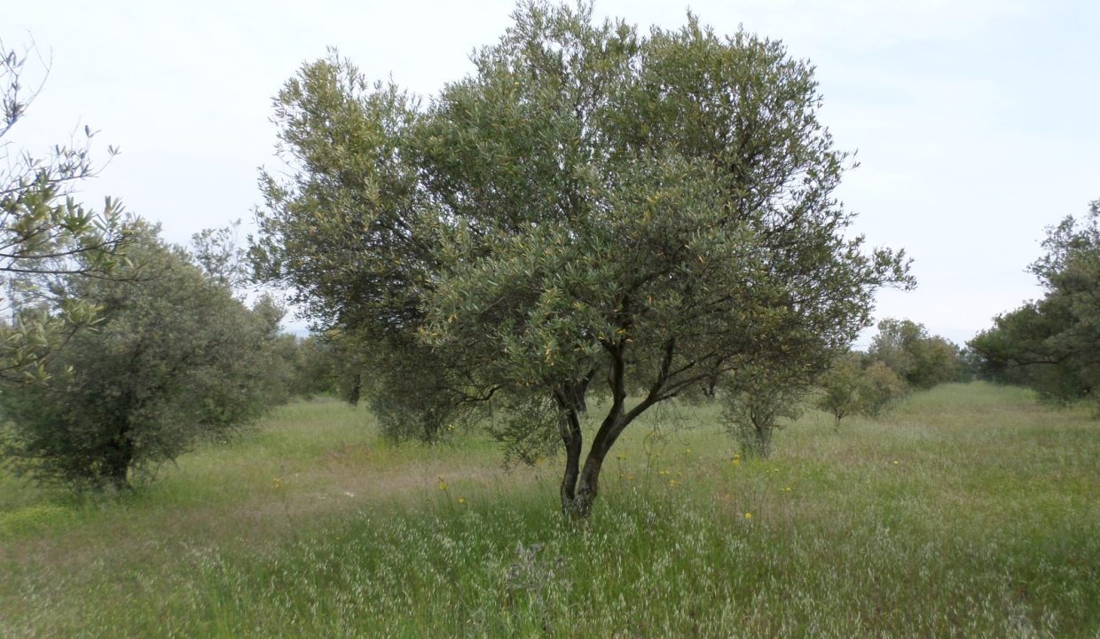 48082a1c-0605-4881-bbef-4915c5c1e134