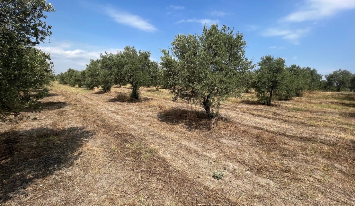 484adb4a-66d8-4c35-941e-c63922a44245