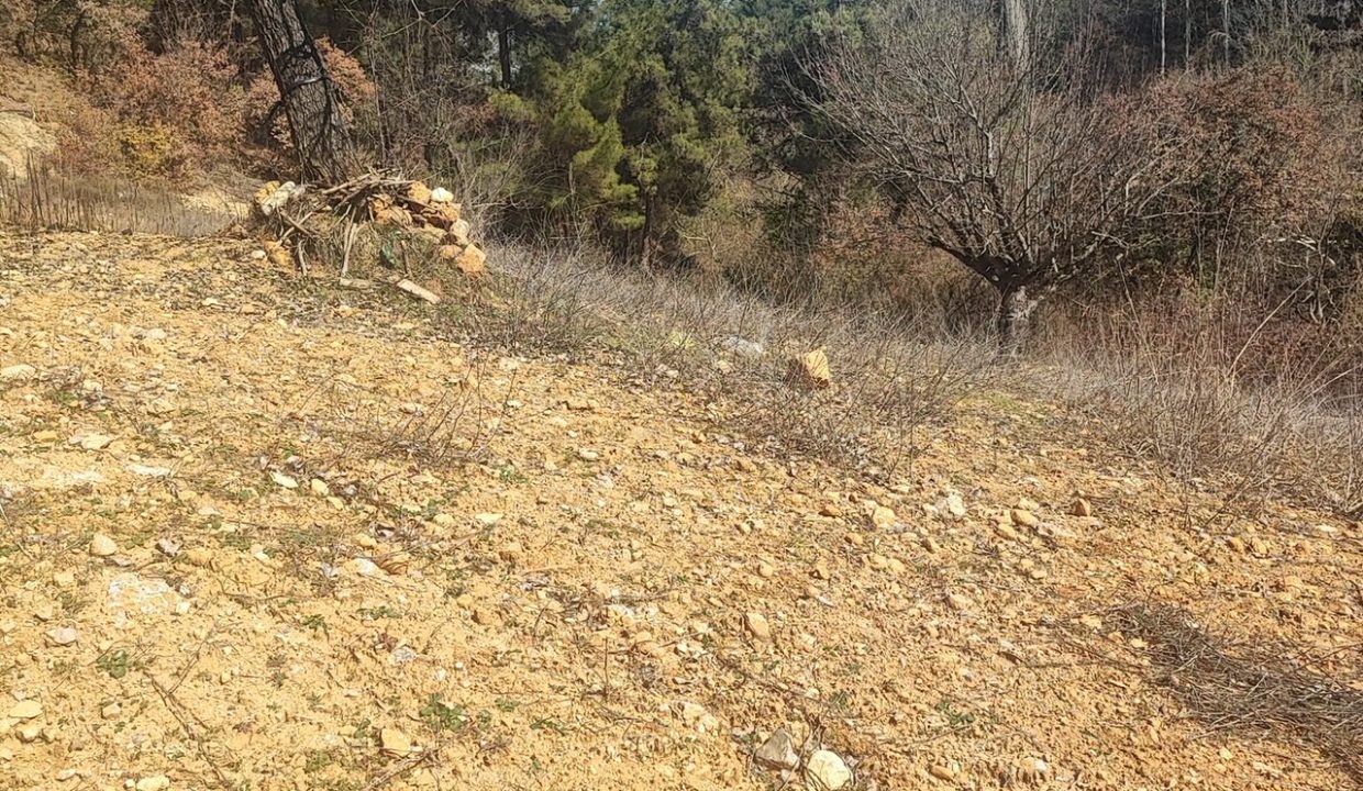 4b7a7181-dbcb-453f-ab68-a897b50425fa