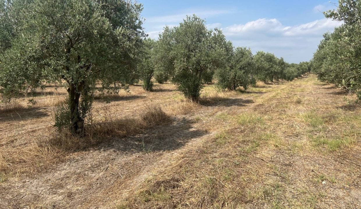 5221ddf9-cb3c-40e0-bba0-e3d030305225