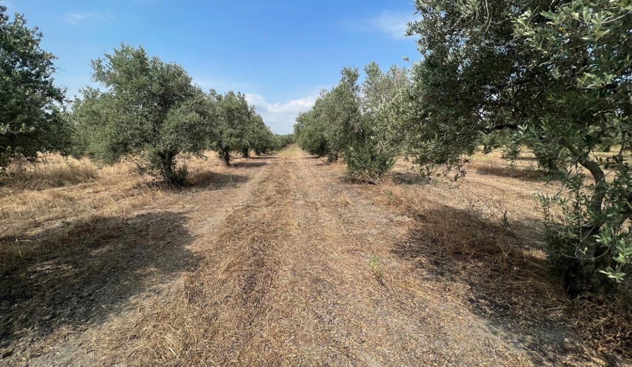 5451cf91-4d7b-4f97-8b76-843dcb8b0861