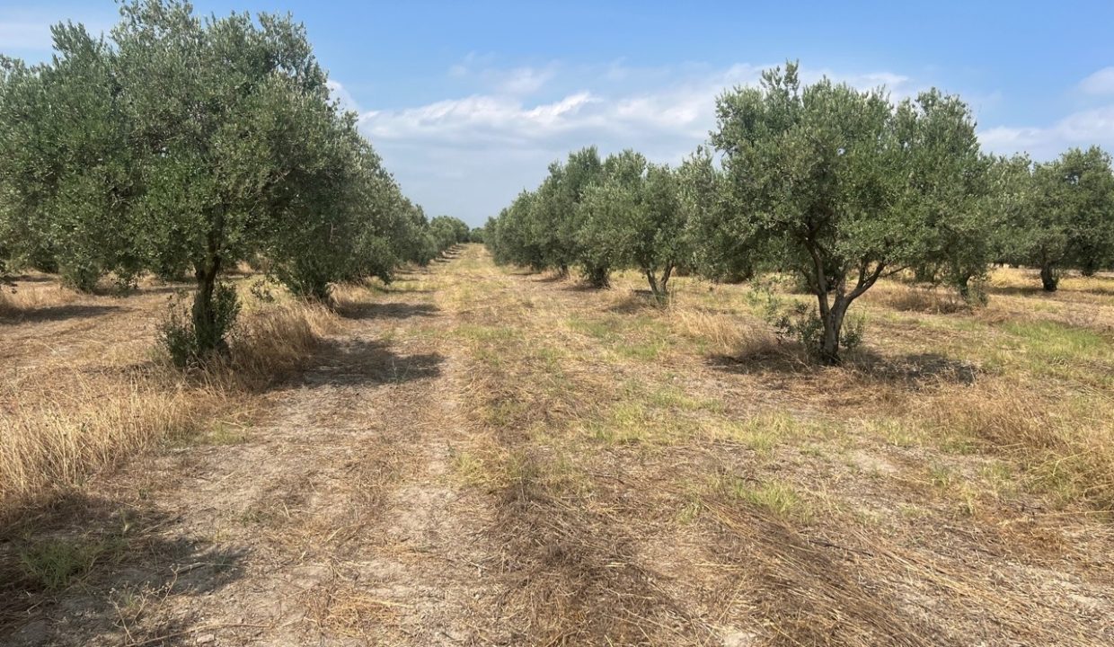 7b664e74-f6f2-49fc-91fd-253f1a8383a7