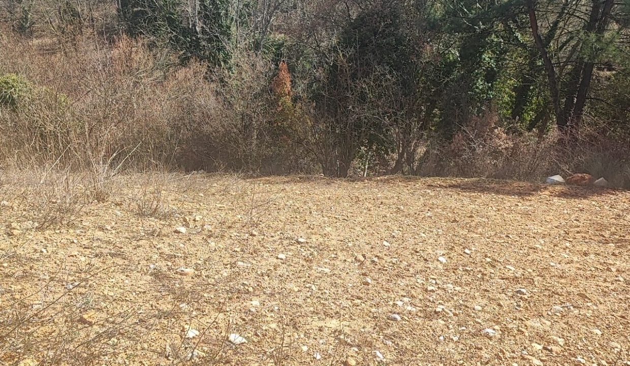 7bea32a6-9318-4802-ac83-4a87541356d9