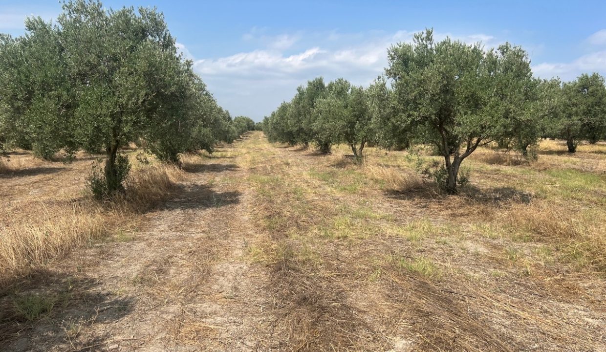 7fdd2dbe-d69a-4bb7-9871-127fd70f3ab8