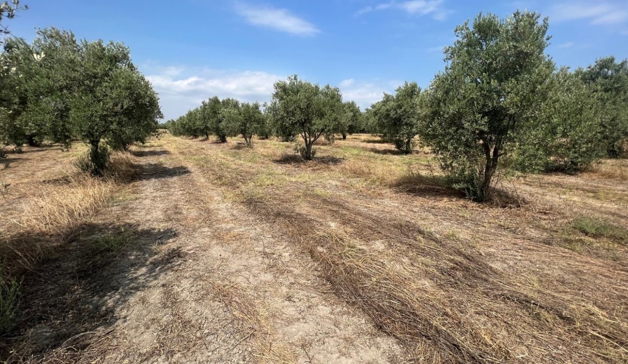 8000d425-1034-4b5a-90c0-3976de382bdf