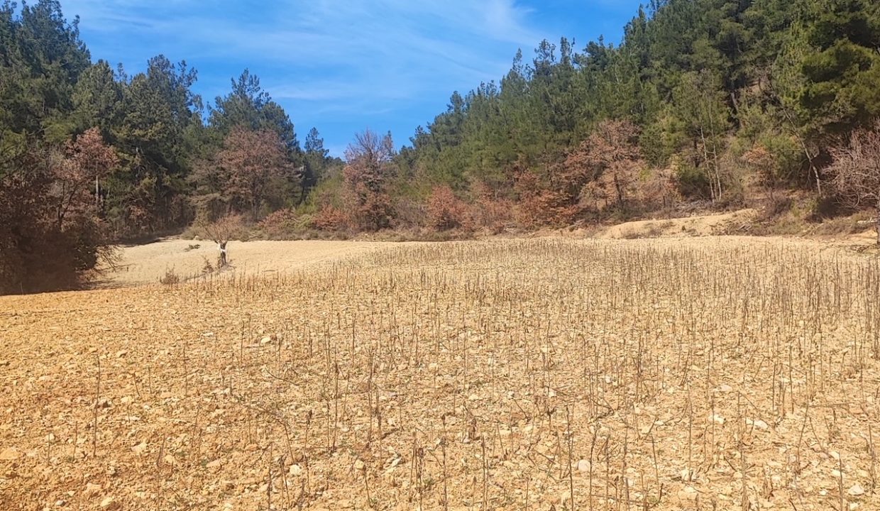 9f7be186-28d6-4cb9-a6ed-af5da44a5627