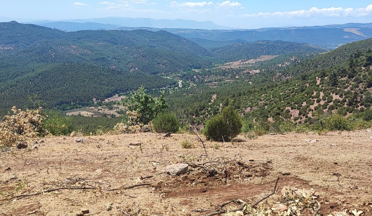 WhatsApp Görsel 2025-07-02 saat 13.41.51_3287a6fa