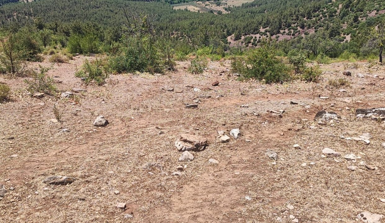 WhatsApp Görsel 2025-07-02 saat 13.41.51_34138c3d