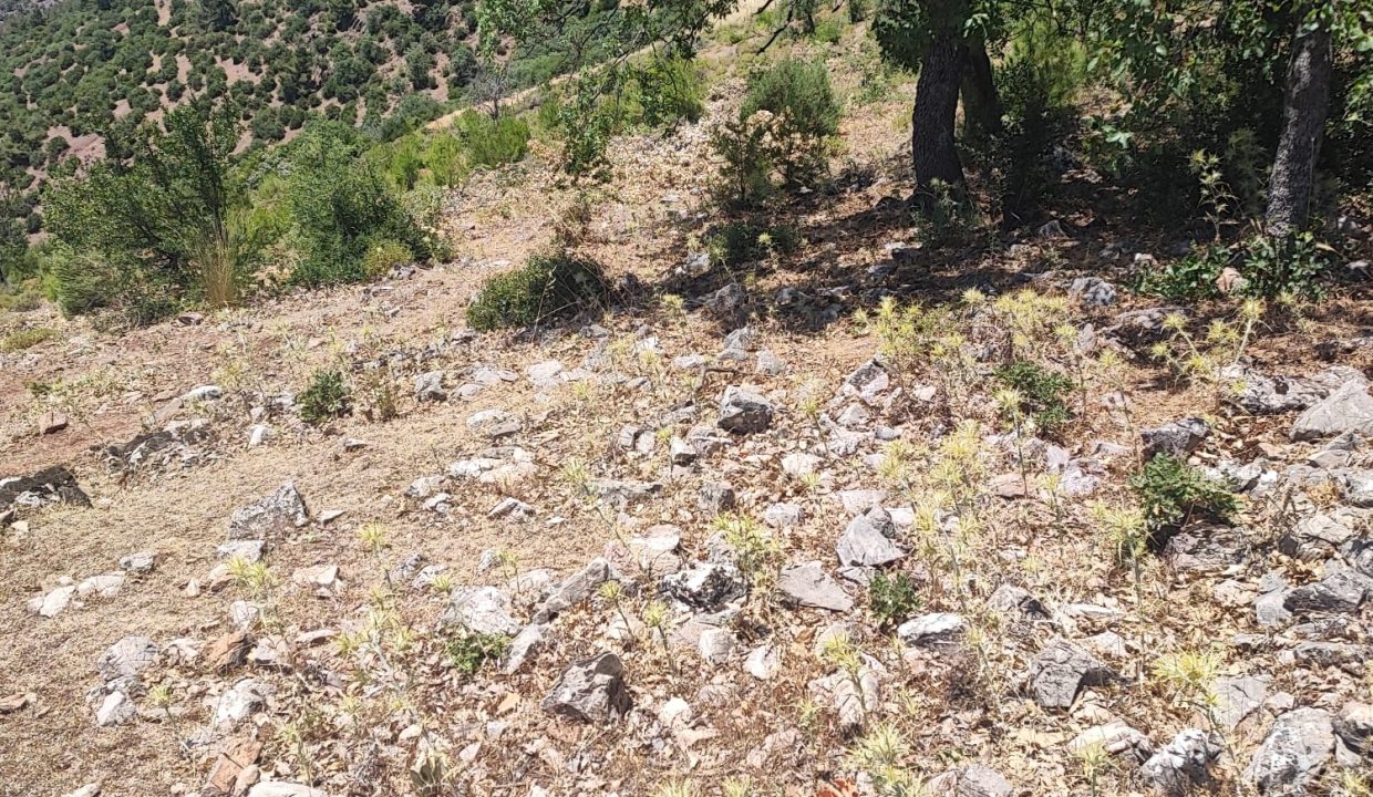 WhatsApp Görsel 2025-07-02 saat 13.41.51_521b823a