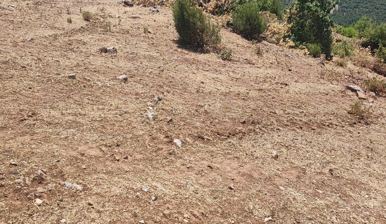 WhatsApp Görsel 2025-07-02 saat 13.41.51_712036ef