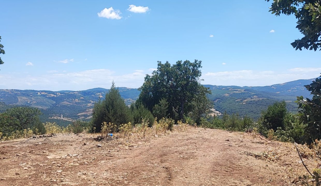 WhatsApp Görsel 2025-07-02 saat 13.41.52_23d4cb9c