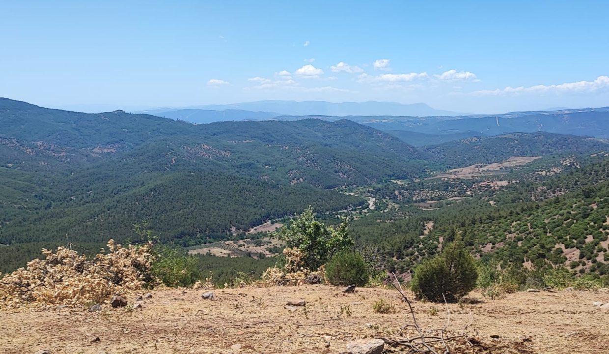 WhatsApp Görsel 2025-07-02 saat 13.41.52_7f8751fb