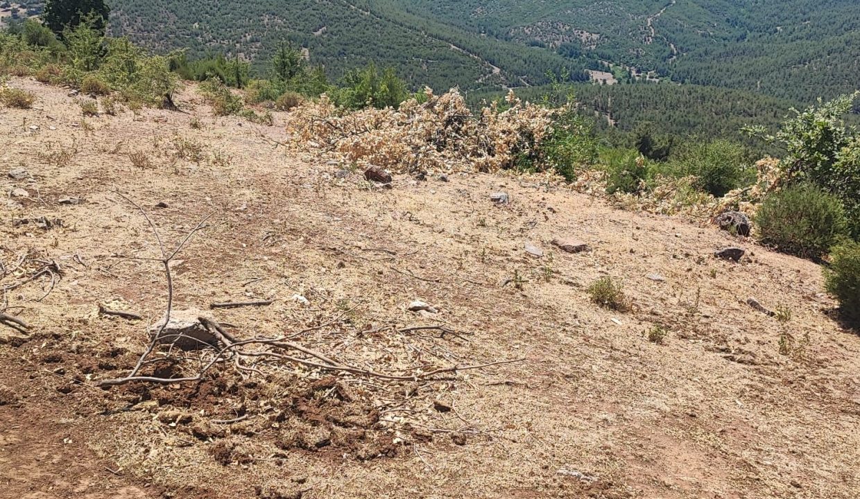 WhatsApp Görsel 2025-07-02 saat 13.41.52_a54f5656