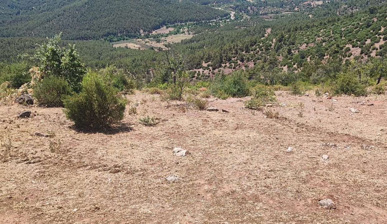 WhatsApp Görsel 2025-07-02 saat 13.41.52_de51c1fa