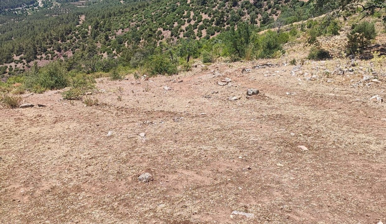 WhatsApp Görsel 2025-07-02 saat 13.41.53_86a91a34