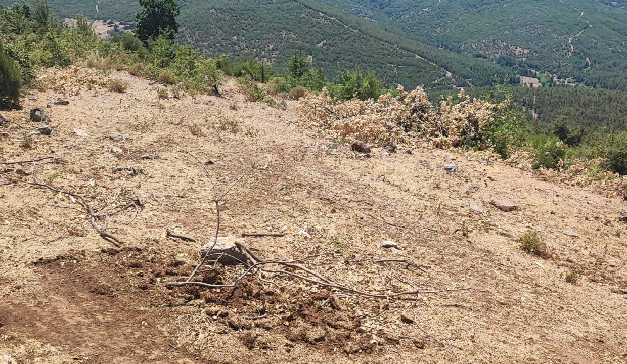 WhatsApp Görsel 2025-07-02 saat 13.41.53_c7feea47