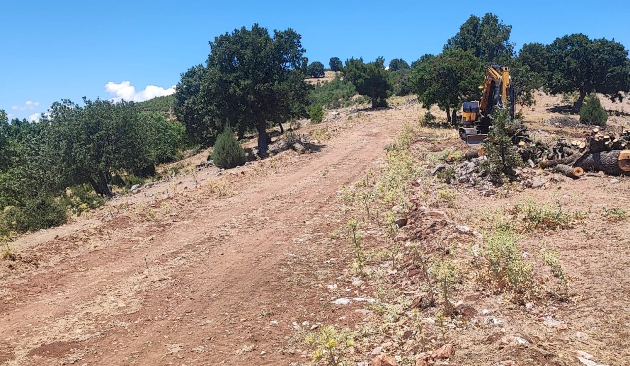 WhatsApp Görsel 2025-07-08 saat 18.12.15_06c6a867