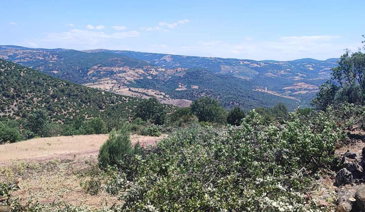 WhatsApp Görsel 2025-07-08 saat 18.12.16_981059b7