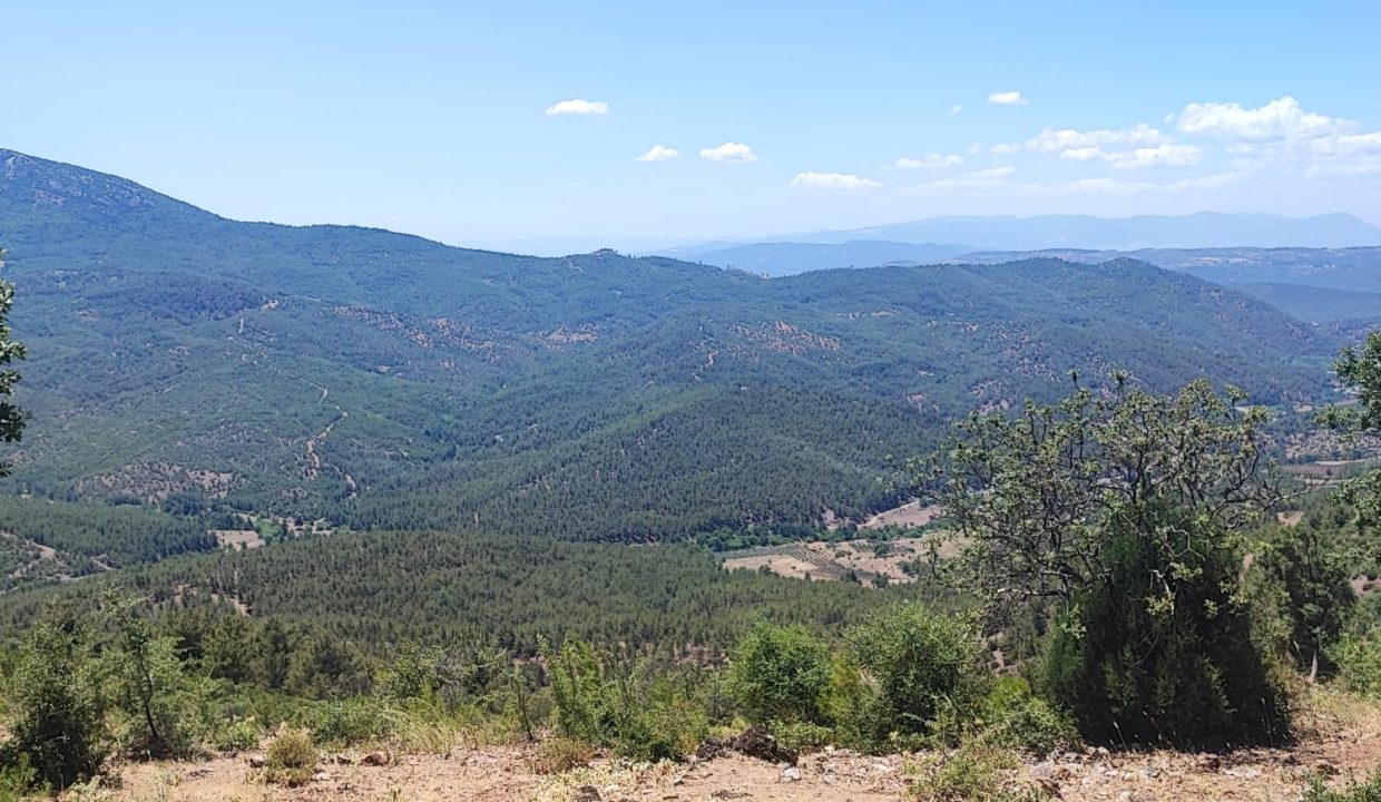 WhatsApp Görsel 2025-07-08 saat 18.12.16_a70aa1d7