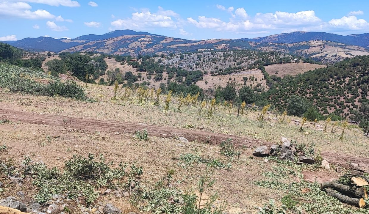 WhatsApp Görsel 2025-07-08 saat 18.12.17_0d7261fe