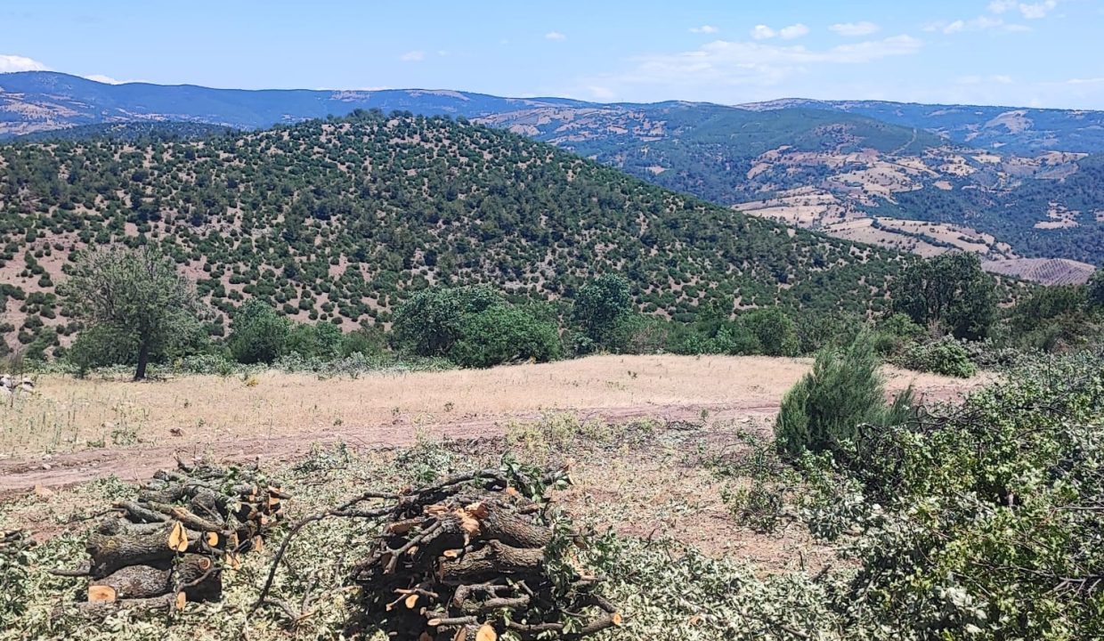 WhatsApp Görsel 2025-07-08 saat 18.12.17_7d8a14da