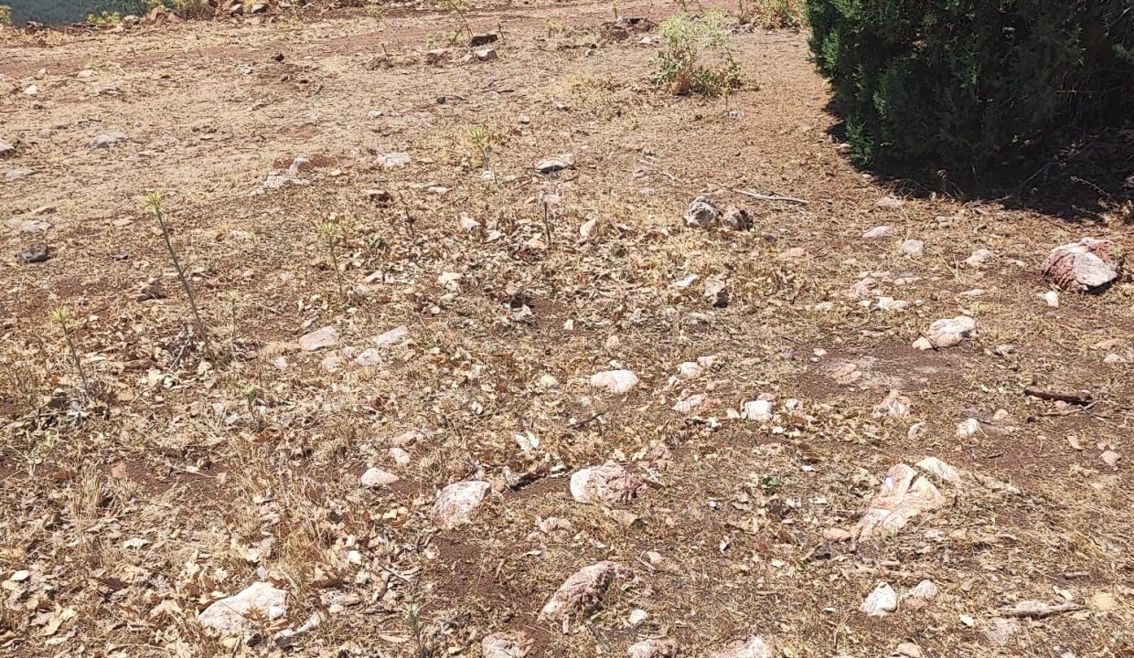 WhatsApp Görsel 2025-07-08 saat 18.12.17_7df75e66