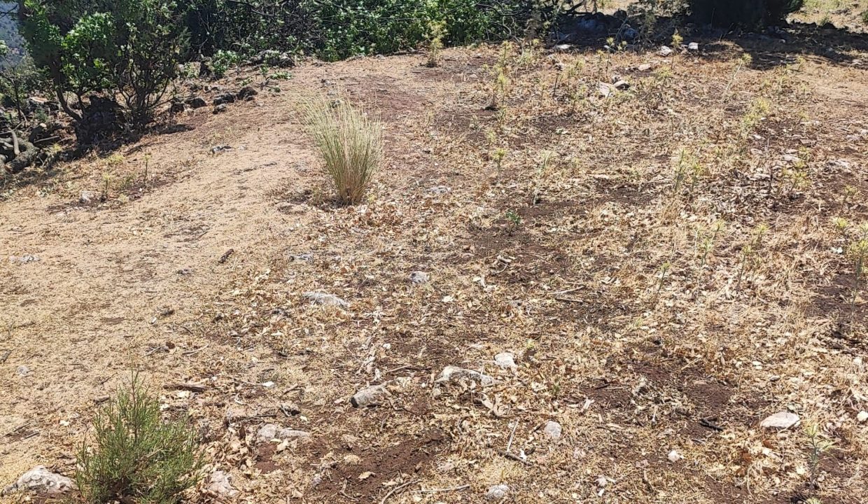 WhatsApp Görsel 2025-07-08 saat 18.12.17_f26e3e18