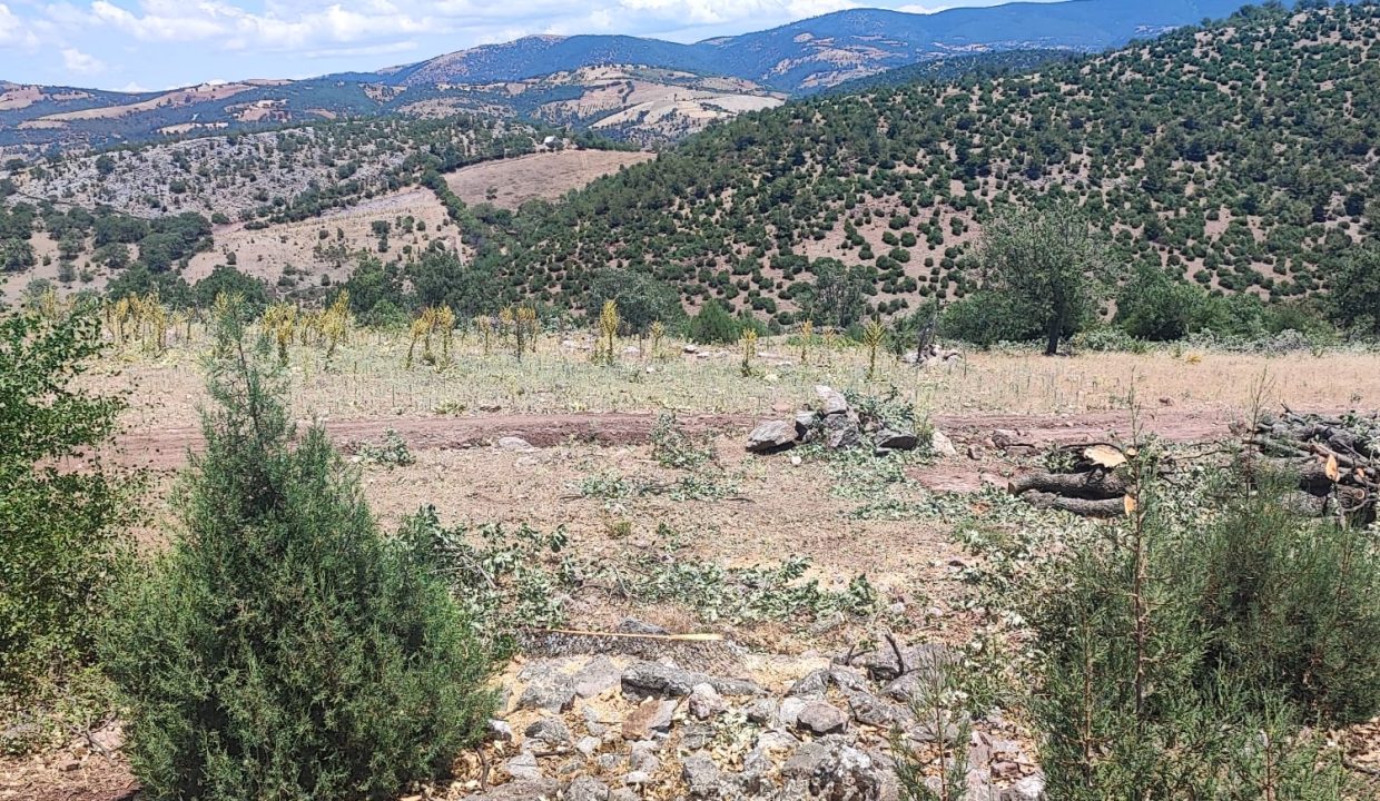 WhatsApp Görsel 2025-07-08 saat 18.12.18_2795ac0f