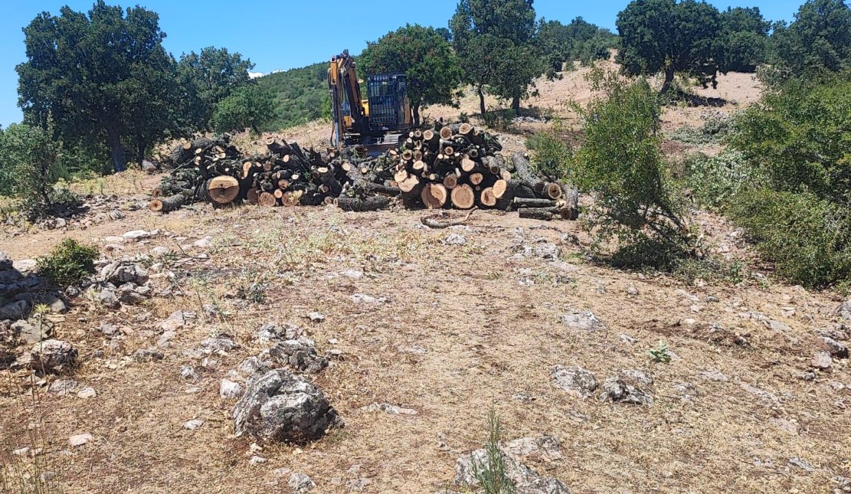 WhatsApp Görsel 2025-07-08 saat 18.12.18_5d900a7e