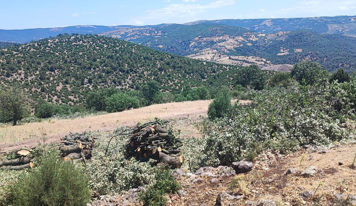 WhatsApp Görsel 2025-07-08 saat 18.12.18_698f3924