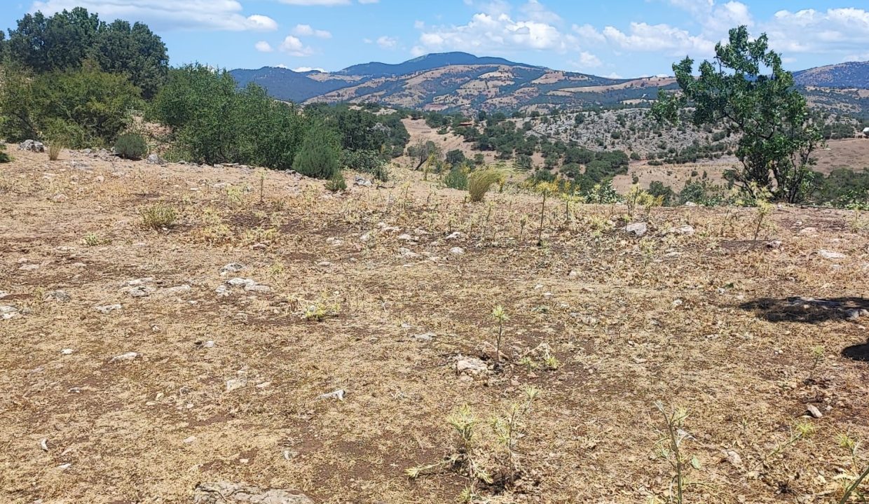 WhatsApp Görsel 2025-07-08 saat 18.12.19_200d3dca