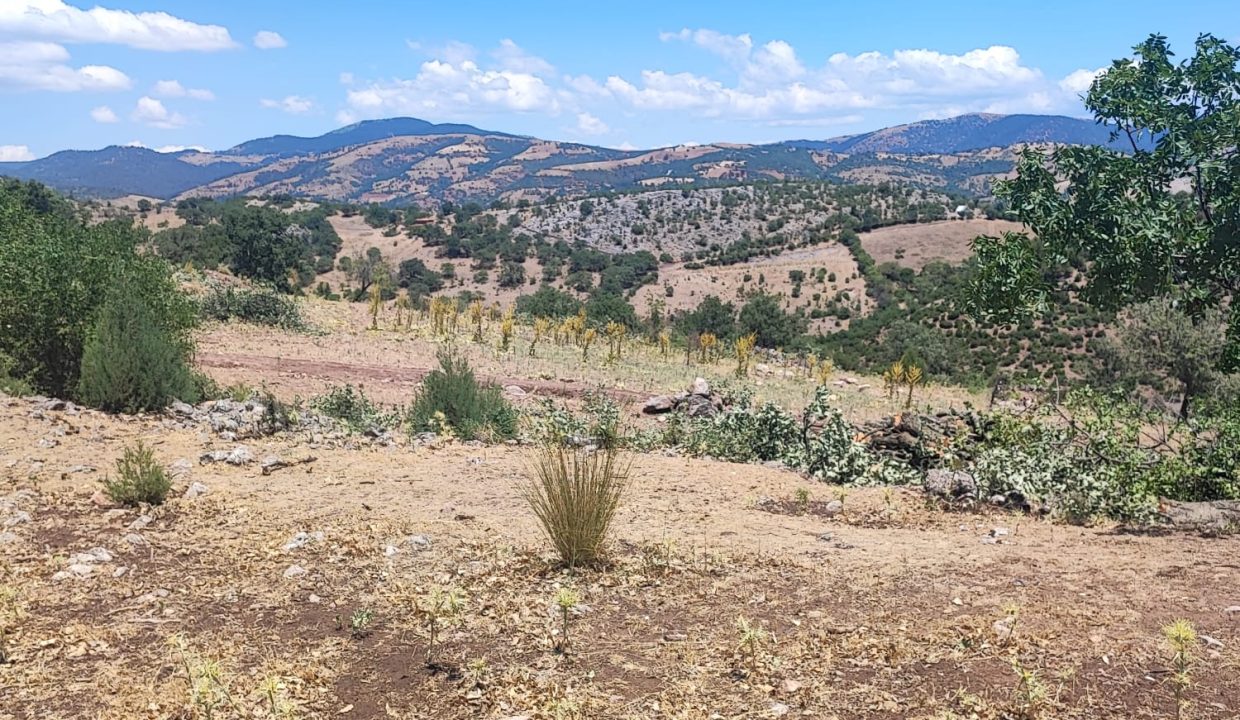 WhatsApp Görsel 2025-07-08 saat 18.12.19_54a43f68