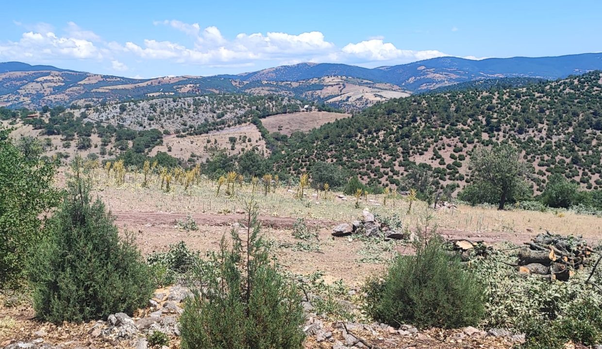 WhatsApp Görsel 2025-07-08 saat 18.12.19_6318eb84