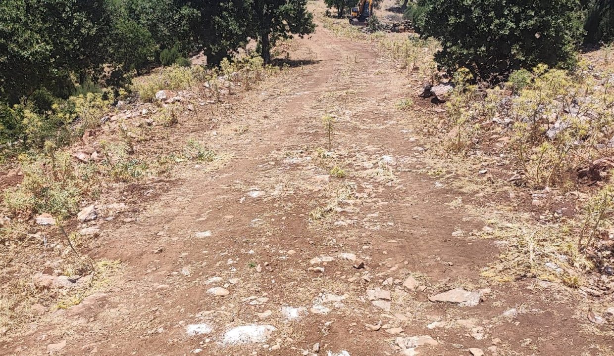 WhatsApp Görsel 2025-07-08 saat 18.12.19_71957acb