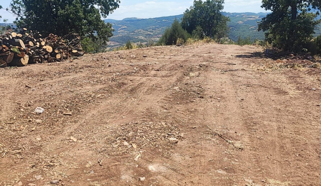 WhatsApp Görsel 2025-07-08 saat 18.12.19_b390fae8