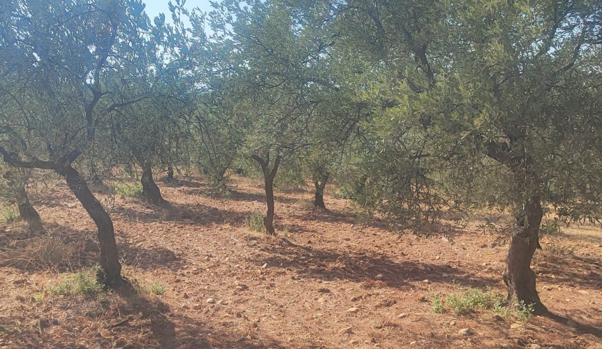 WhatsApp Görsel 2025-09-11 saat 16.00.36_484d2ab5