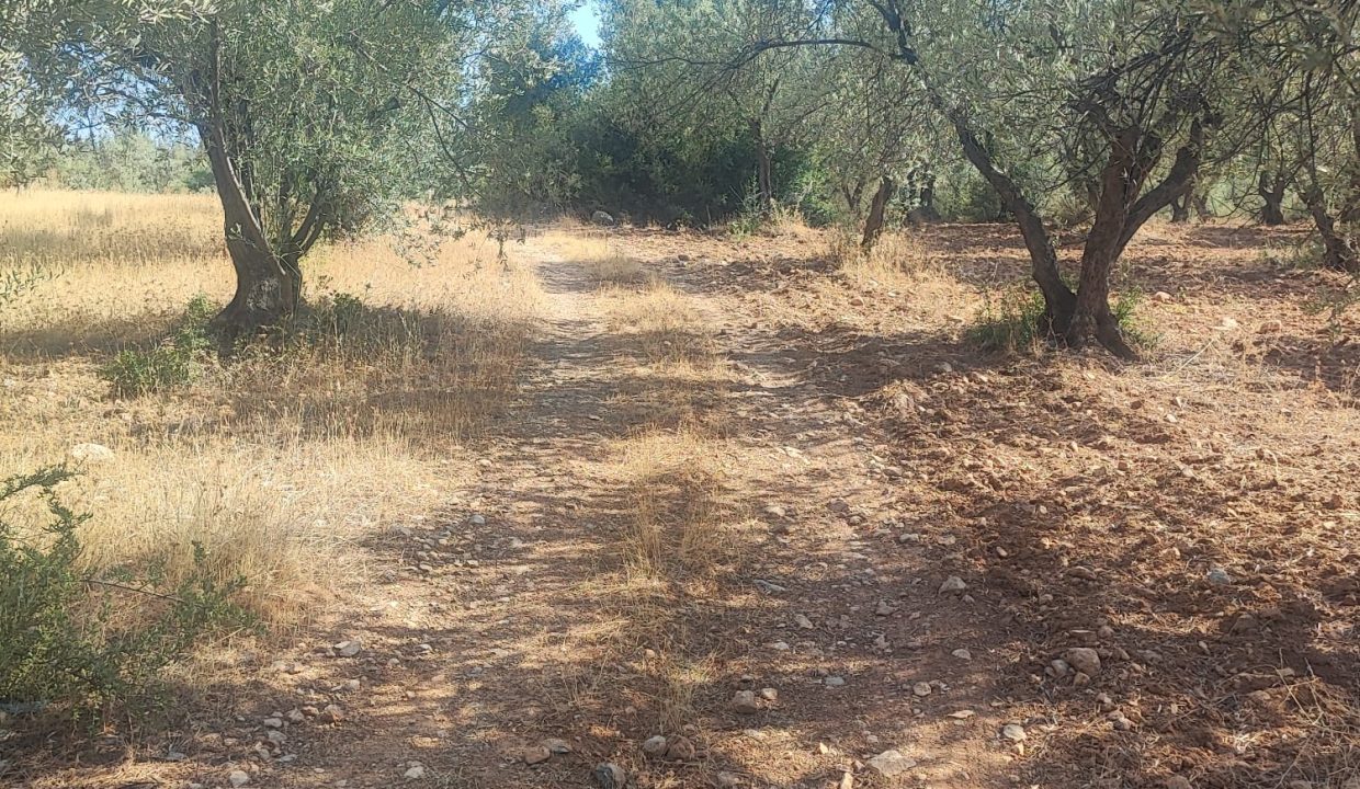 WhatsApp Görsel 2025-09-11 saat 16.01.36_88ae6f57