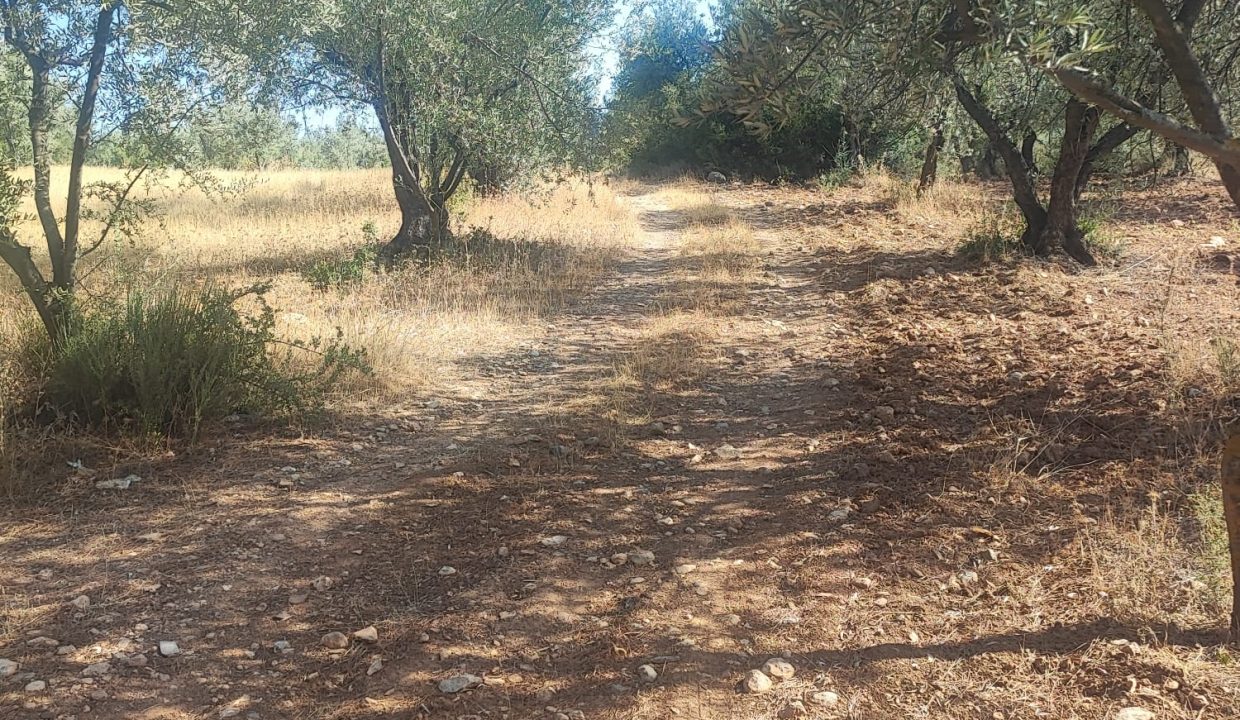 WhatsApp Görsel 2025-09-11 saat 16.01.37_7b3c317a