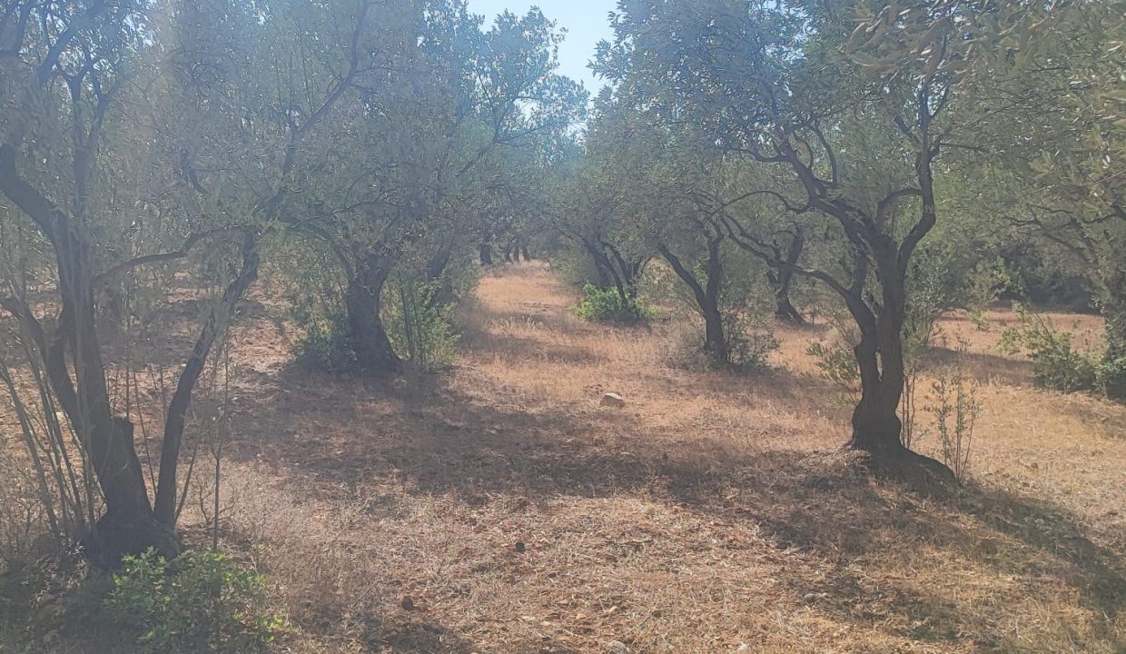 WhatsApp Görsel 2025-09-11 saat 16.01.37_c3b78222