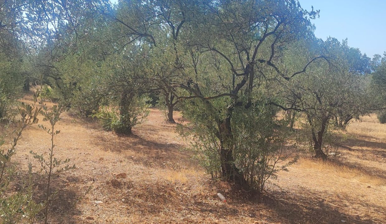 WhatsApp Görsel 2025-09-11 saat 16.01.40_e8d46358