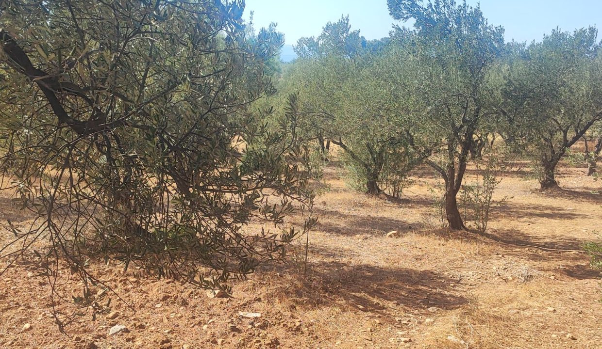 WhatsApp Görsel 2025-09-11 saat 16.01.45_cccaa97c