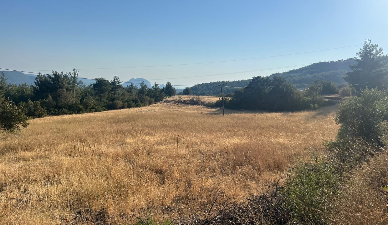 WhatsApp Görsel 2025-09-14 saat 17.24.11_6dfb7106