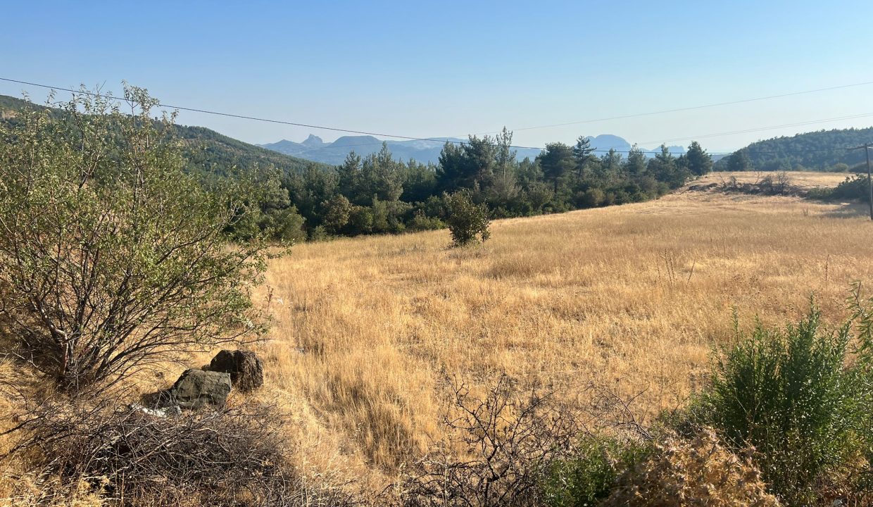 WhatsApp Görsel 2025-09-14 saat 17.24.12_09915245