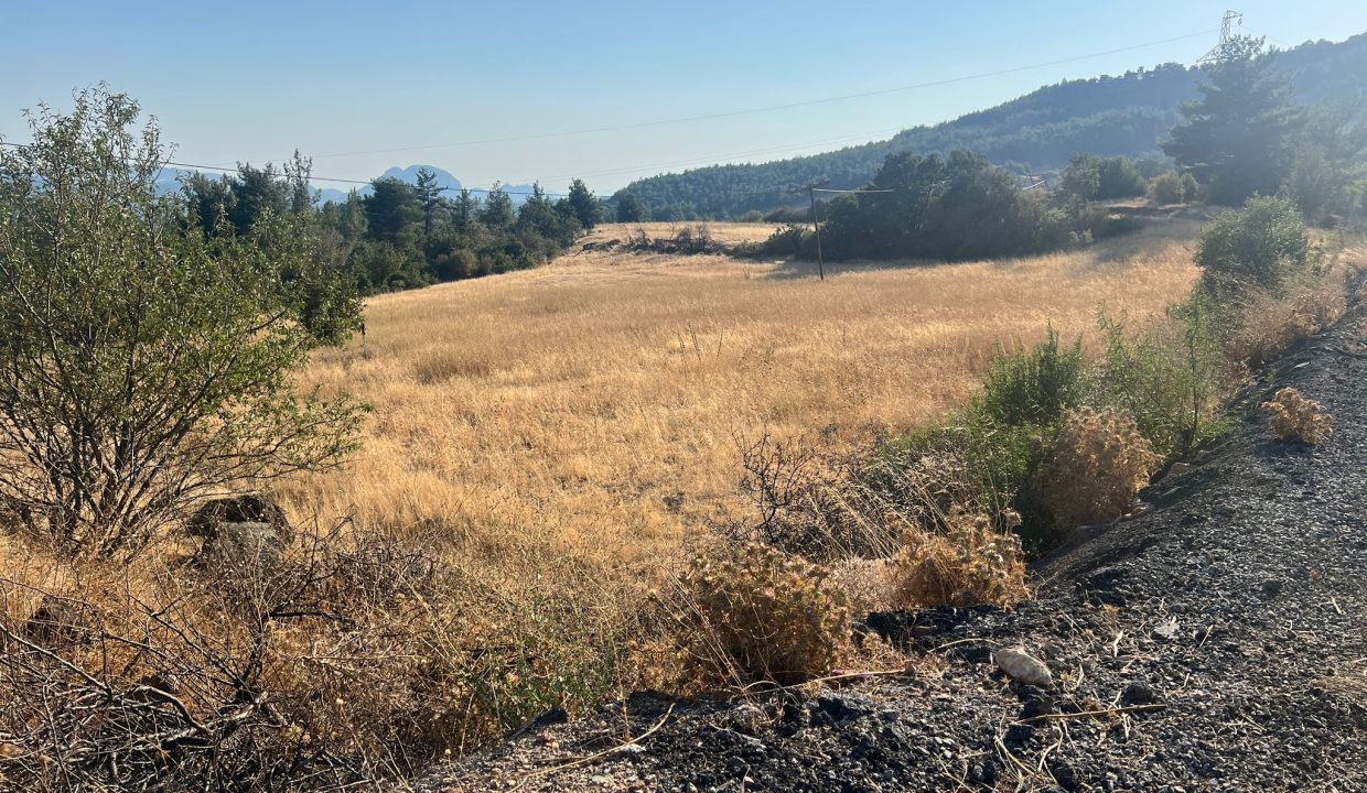 WhatsApp Görsel 2025-09-14 saat 17.24.12_1e5ae8a2